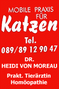 Mobile Praxis für Katzen, Tel.: 089 / 89 12 90 47, Dr. Heidi von Moreau, Prakt. Tierärztin, Homöopathie